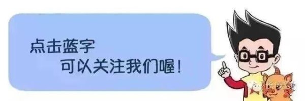 证配所官网浙江 3起整治形式主义为基层减负典型问题被通报