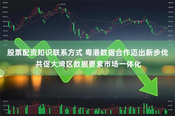 股票配资知识联系方式 粤港数据合作迈出新步伐 共促大湾区数据要素市场一体化
