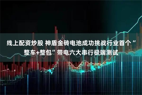 线上配资炒股 神盾金砖电池成功挑战行业首个“整车+整包”带电六大串行极端测试