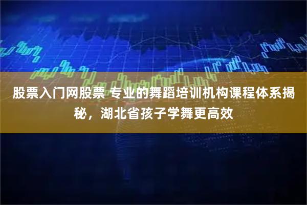 股票入门网股票 专业的舞蹈培训机构课程体系揭秘，湖北省孩子学舞更高效